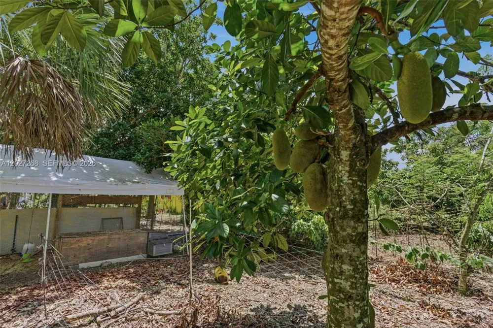 25800 SW 199th Ave Homestead, FL 33031