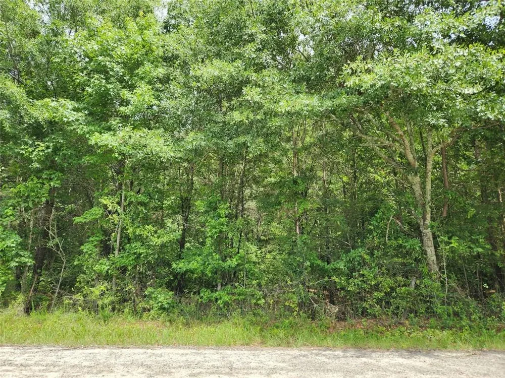 0 Barton Bridge Road Monroe, GA 30655