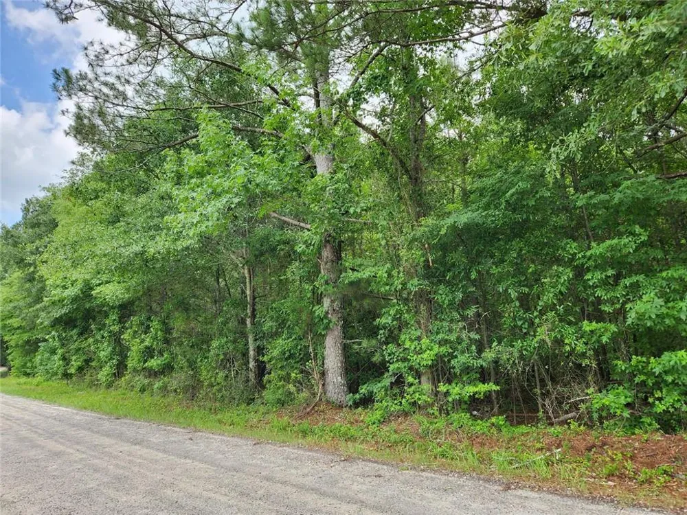 0 Barton Bridge Road Monroe, GA 30655