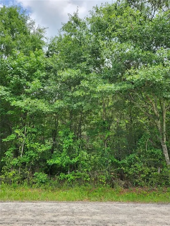 0 Barton Bridge Road Monroe, GA 30655