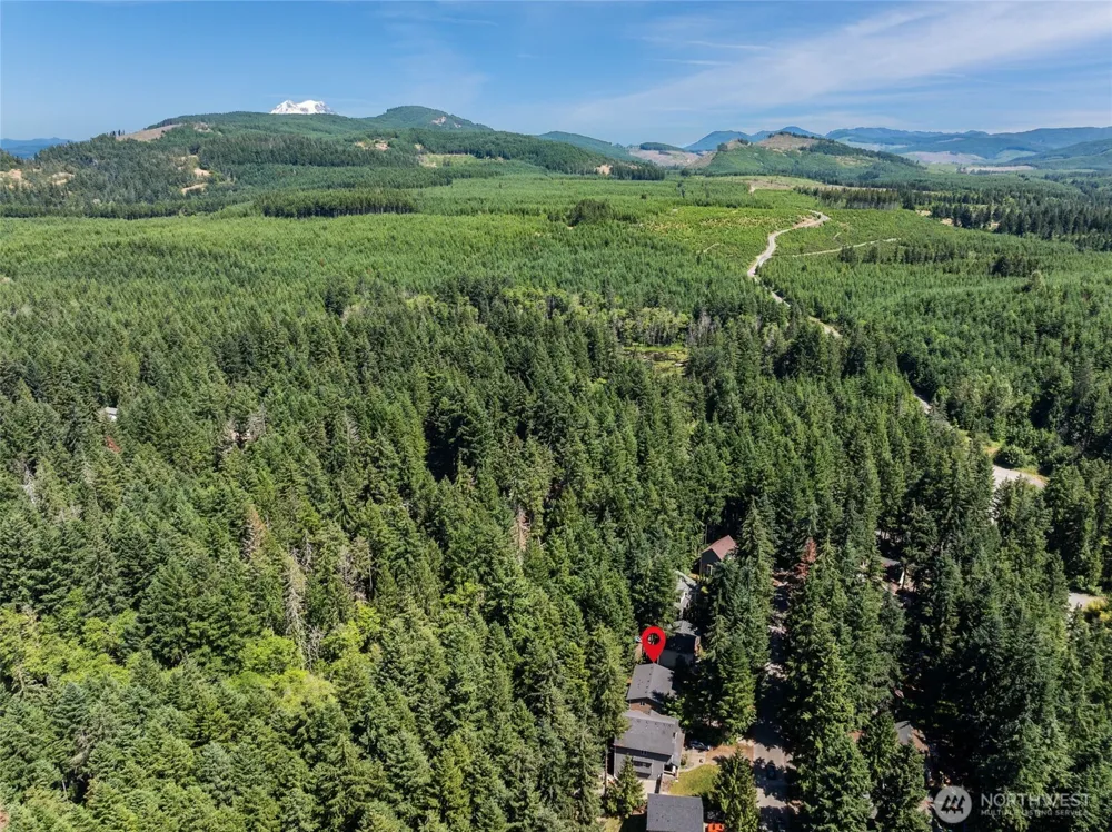 22518 Bluewater Drive SE Yelm, WA 98597