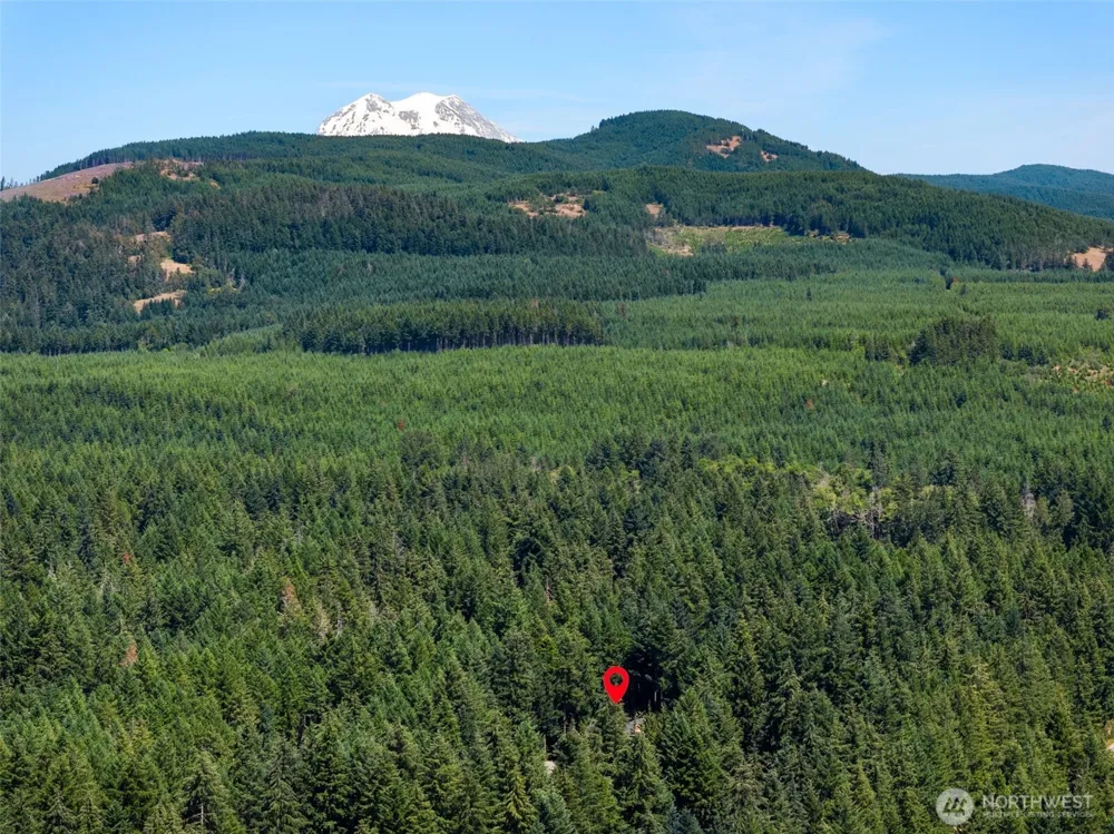 22518 Bluewater Drive SE Yelm, WA 98597