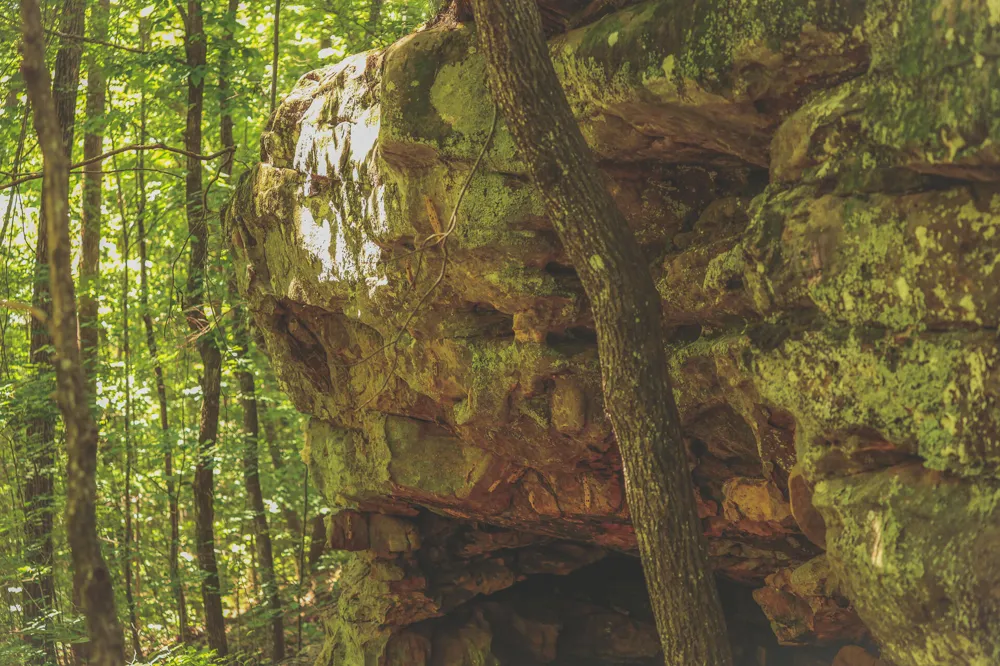 Long Fork Creek Road Spencer, TN 38585