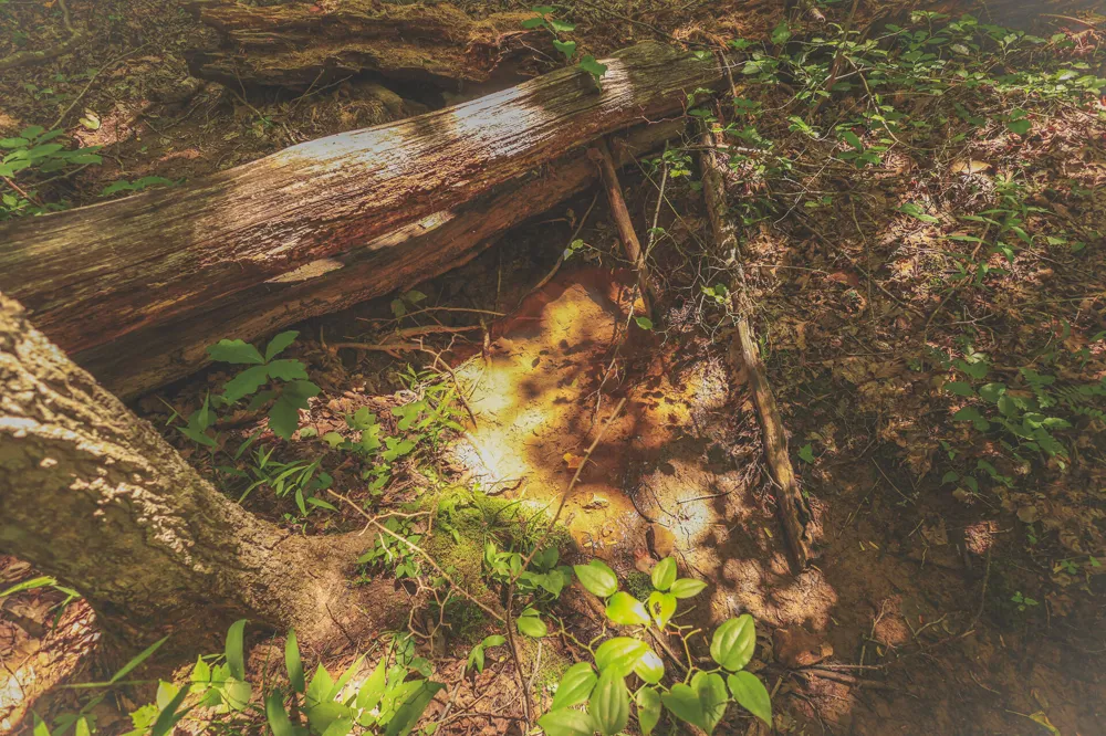 Long Fork Creek Road Spencer, TN 38585