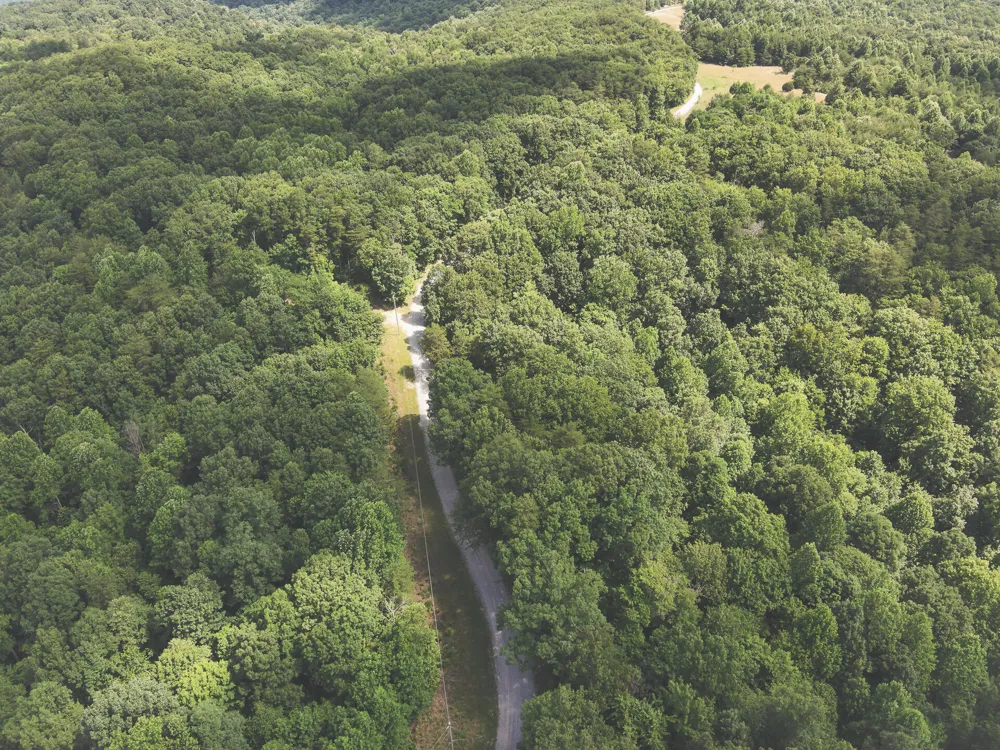 Long Fork Creek Road Spencer, TN 38585