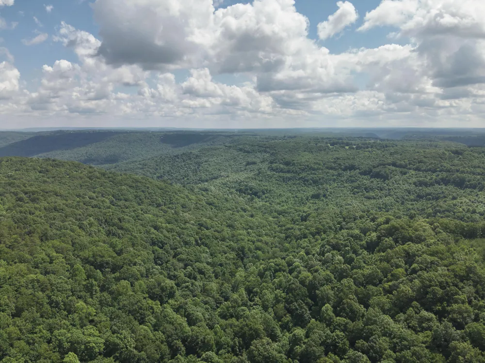 Long Fork Creek Road Spencer, TN 38585
