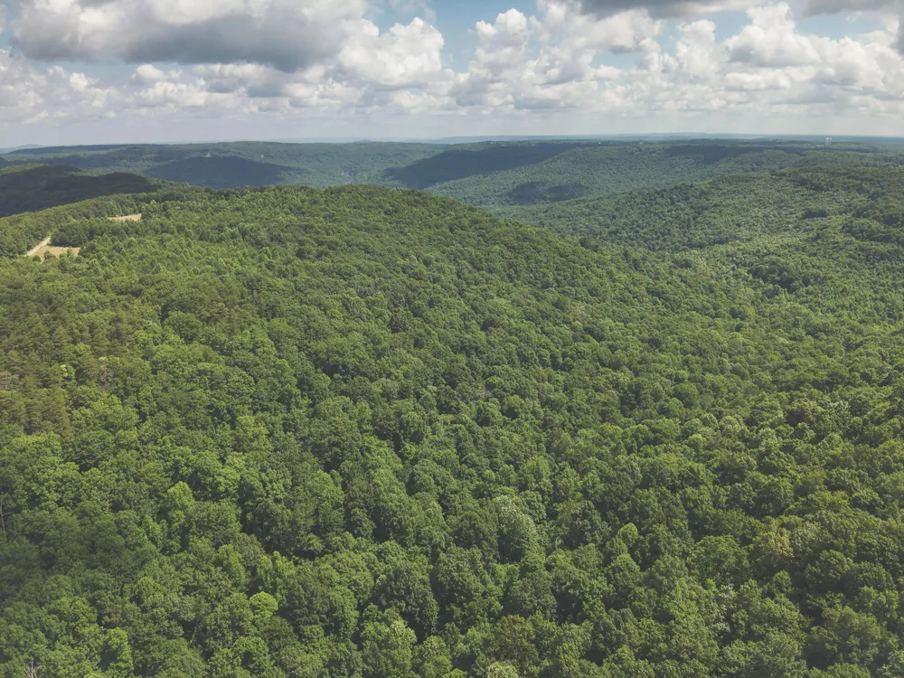 Long Fork Creek Road Spencer, TN 38585