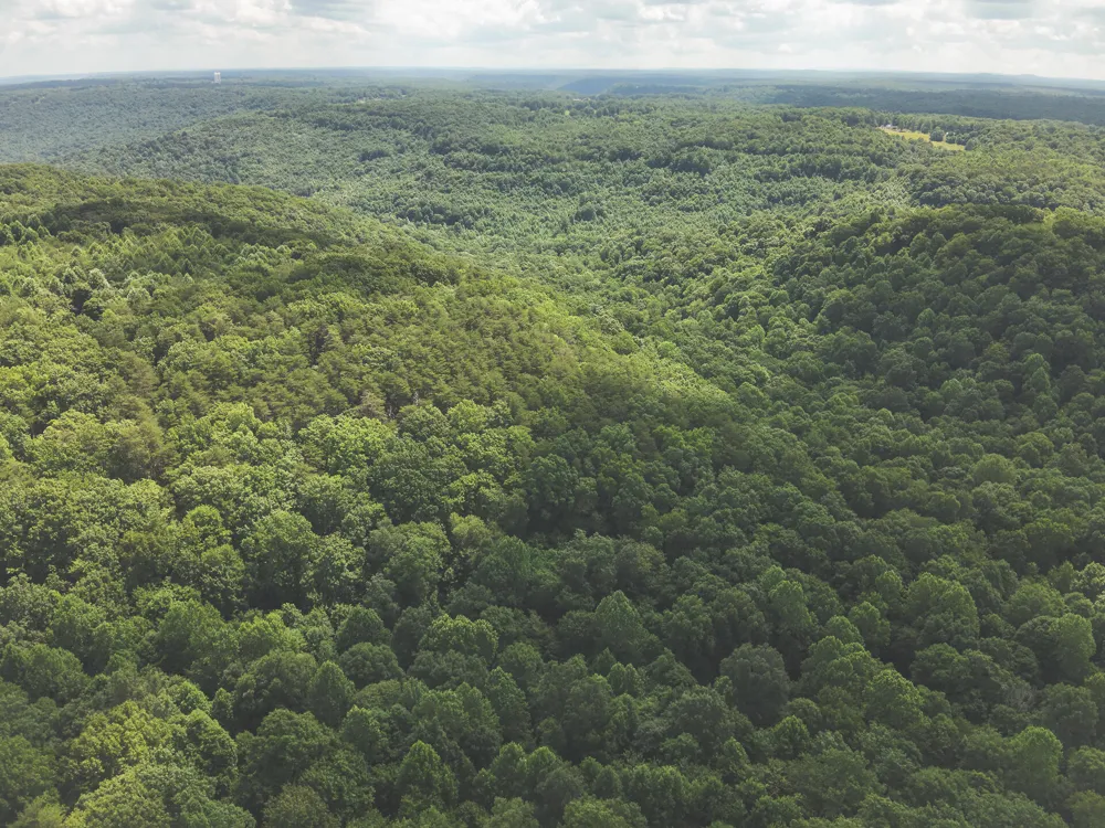 Long Fork Creek Road Spencer, TN 38585
