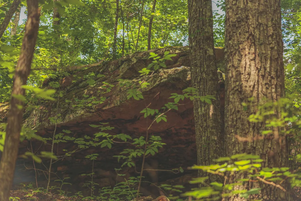 Long Fork Creek Road Spencer, TN 38585