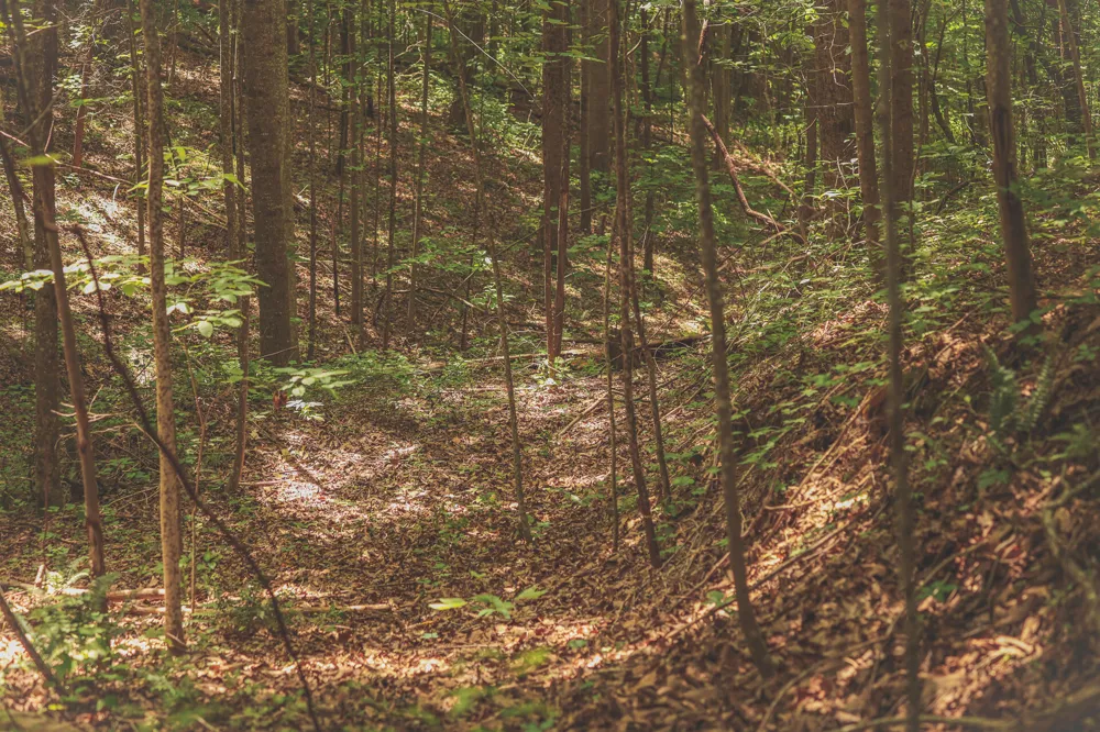 Long Fork Creek Road Spencer, TN 38585