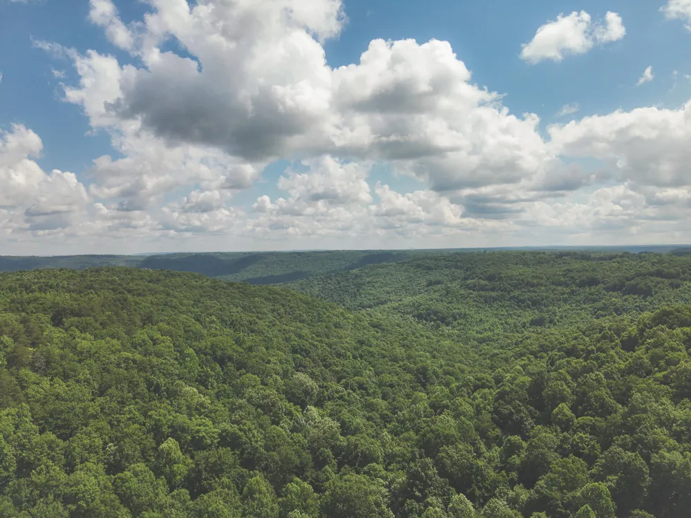 Long Fork Creek Road Spencer, TN 38585