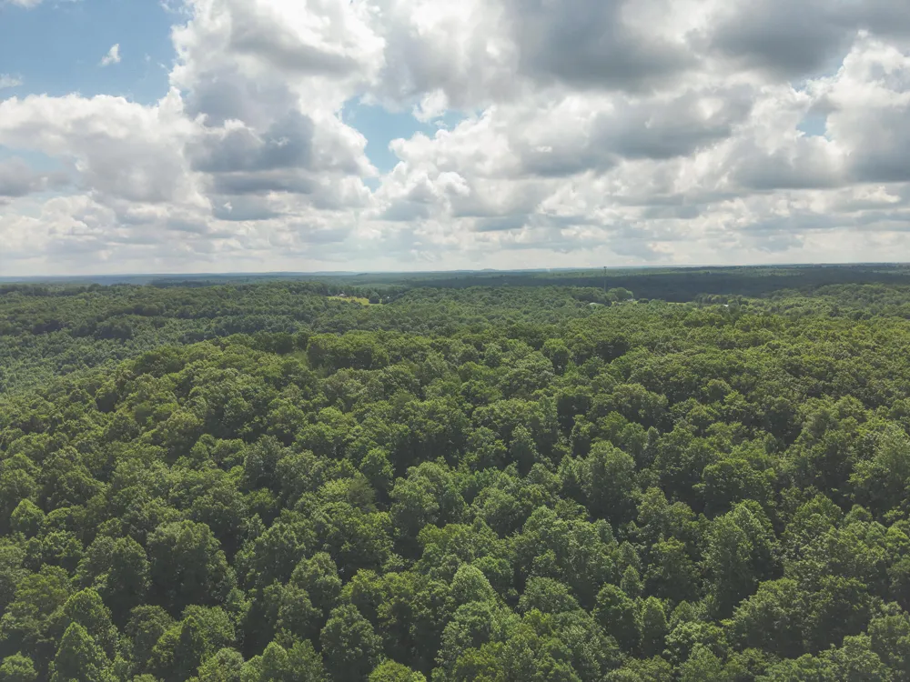 Long Fork Creek Road Spencer, TN 38585