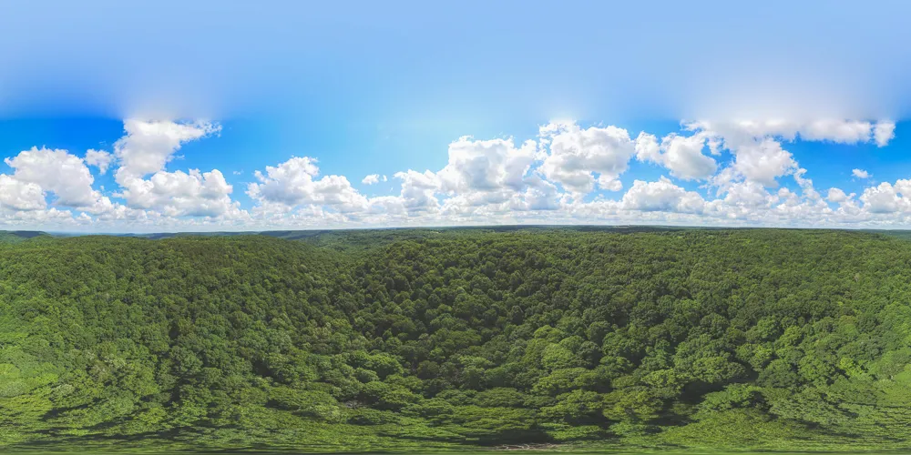 Long Fork Creek Road Spencer, TN 38585