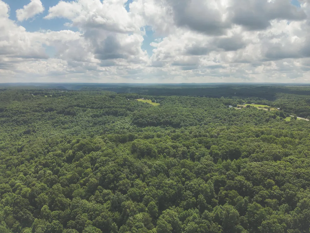 Long Fork Creek Road Spencer, TN 38585