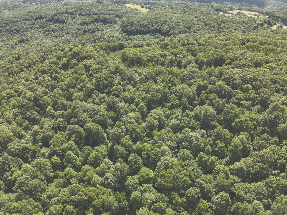 Long Fork Creek Road Spencer, TN 38585