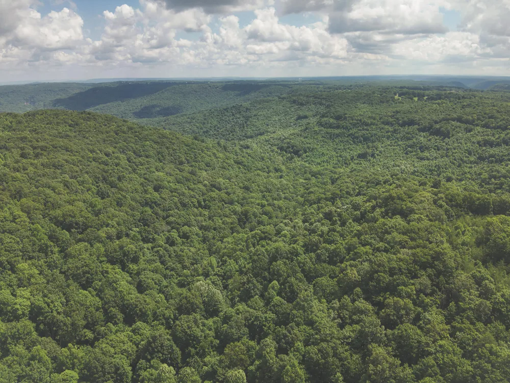 Long Fork Creek Road Spencer, TN 38585