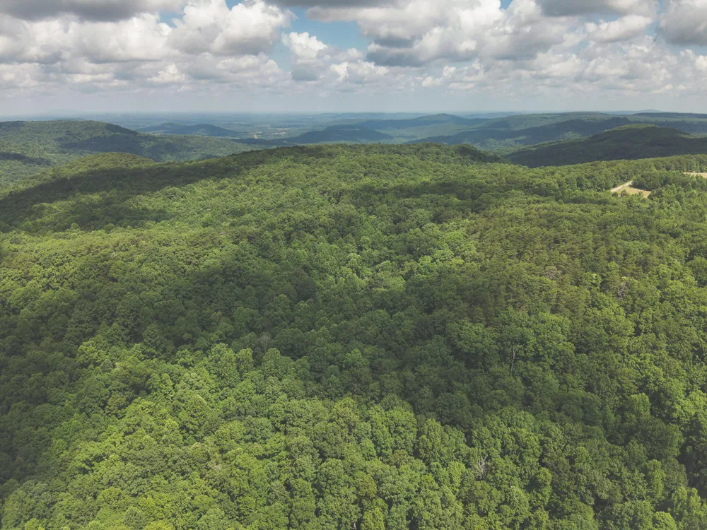 Long Fork Creek Road Spencer, TN 38585