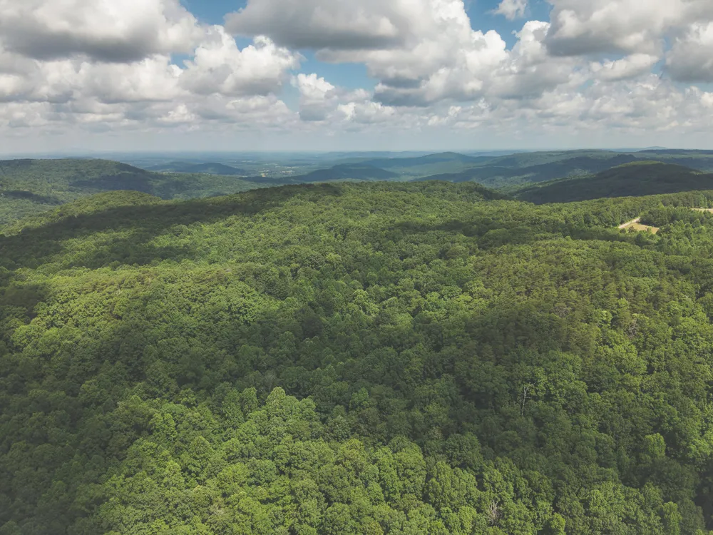 Long Fork Creek Road Spencer, TN 38585