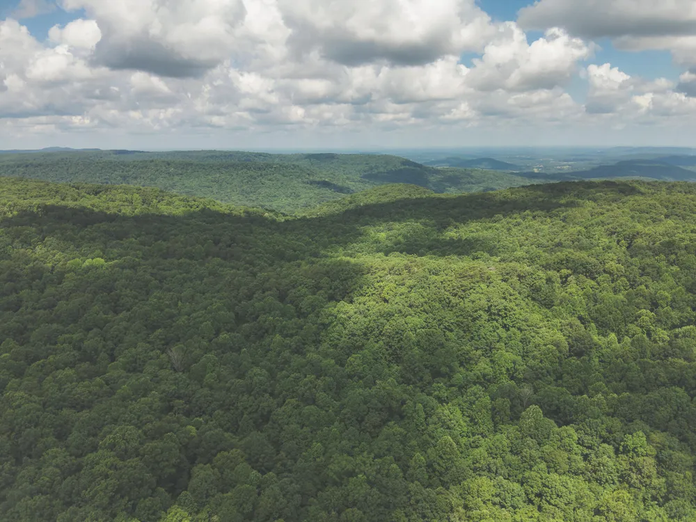 Long Fork Creek Road Spencer, TN 38585