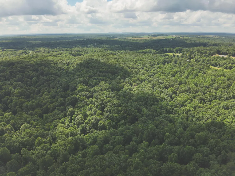 Long Fork Creek Road Spencer, TN 38585