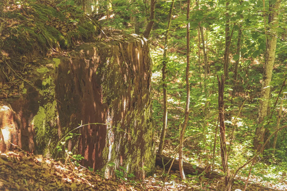 Long Fork Creek Road Spencer, TN 38585
