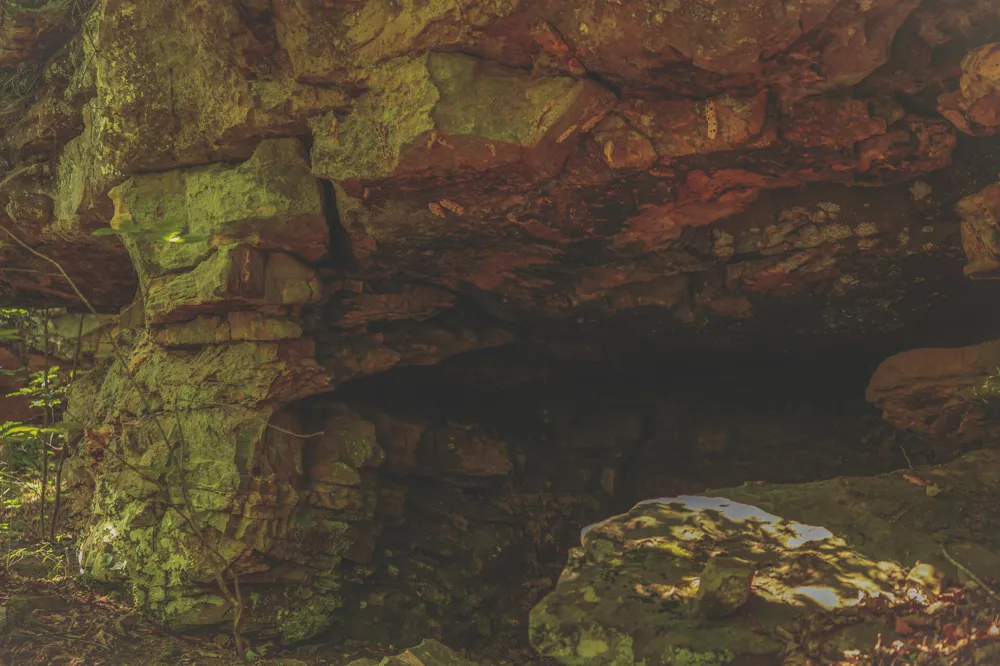 Long Fork Creek Road Spencer, TN 38585
