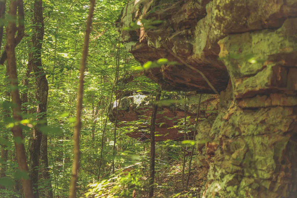 Long Fork Creek Road Spencer, TN 38585