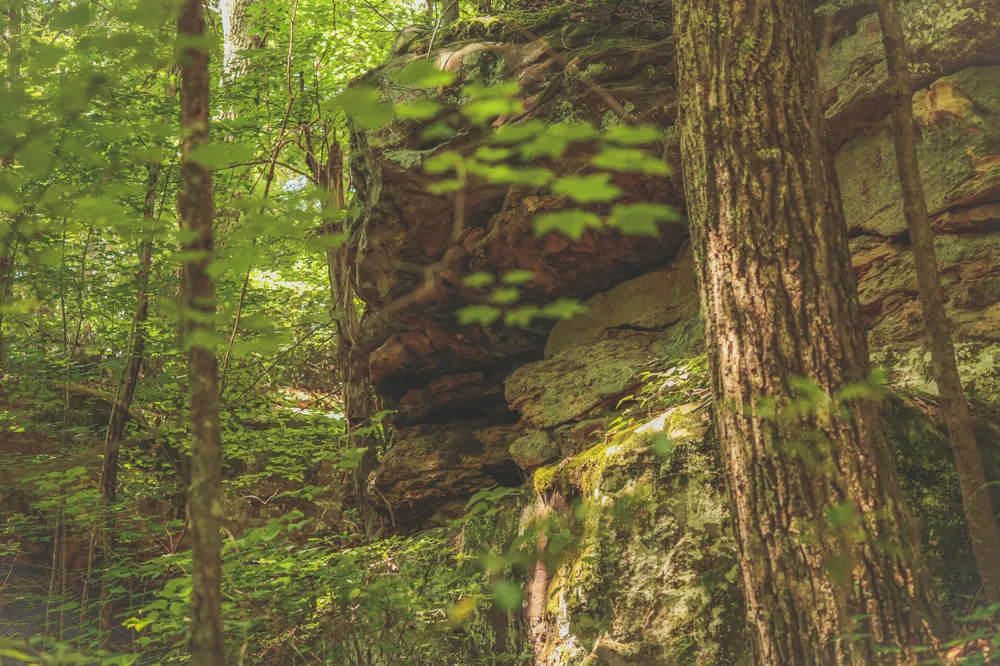Long Fork Creek Road Spencer, TN 38585