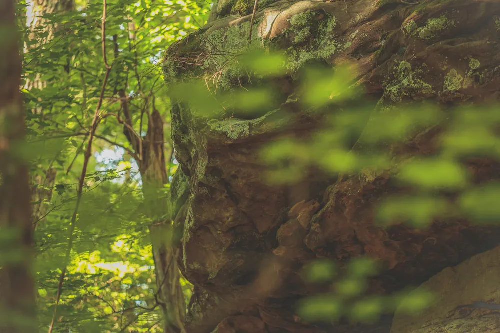 Long Fork Creek Road Spencer, TN 38585