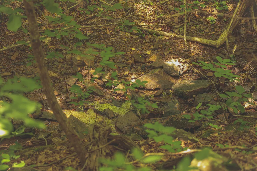 Long Fork Creek Road Spencer, TN 38585