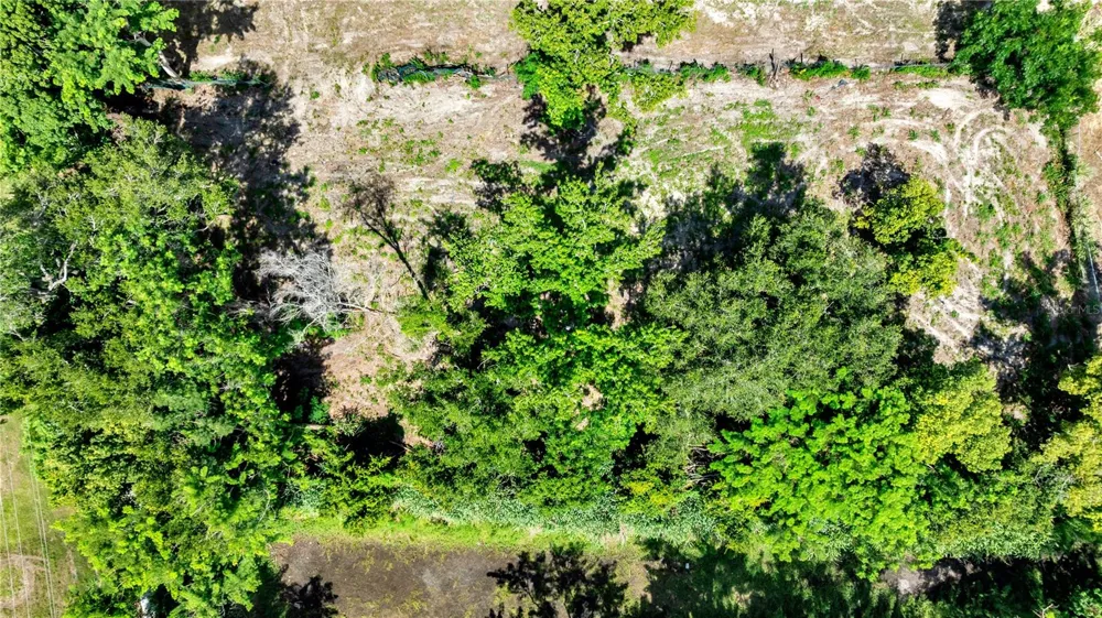 9924 ROCKHILL ROAD Thonotosassa, FL 33592