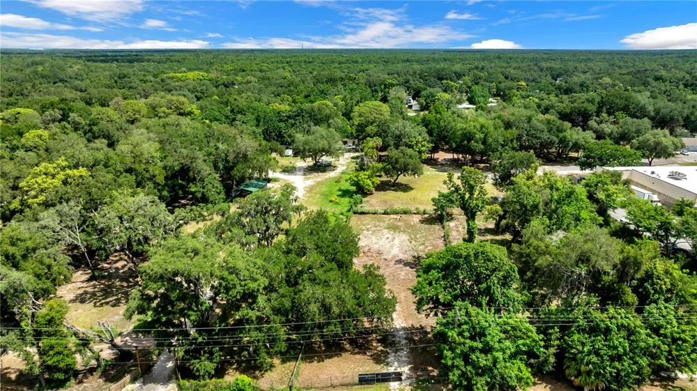 9924 ROCKHILL ROAD Thonotosassa, FL 33592