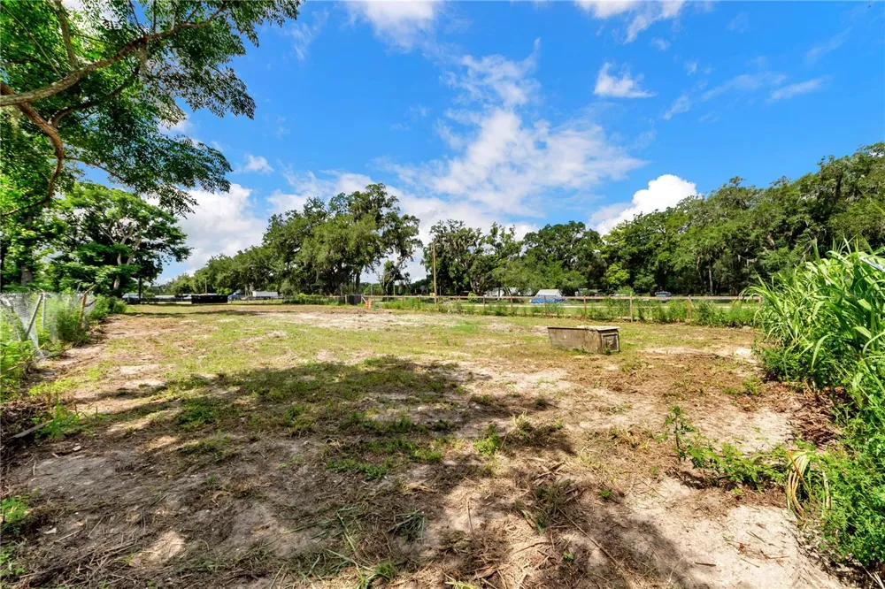 9924 ROCKHILL ROAD Thonotosassa, FL 33592