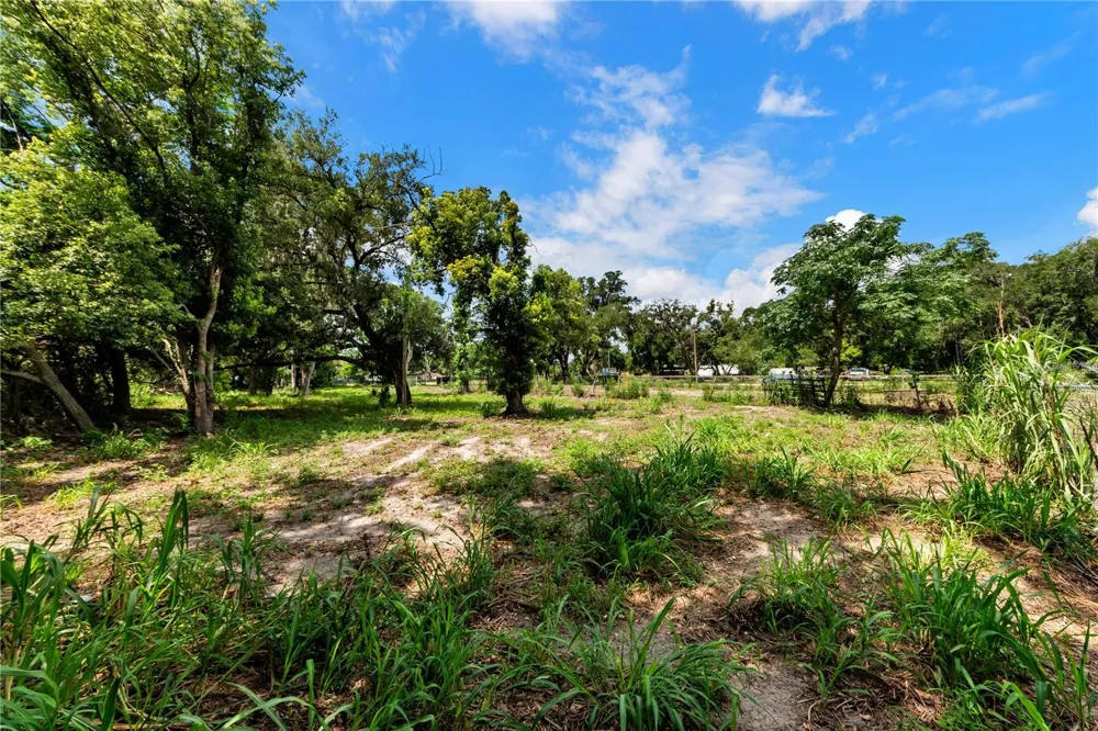 9924 ROCKHILL ROAD Thonotosassa, FL 33592