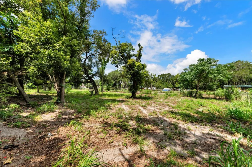 9924 ROCKHILL ROAD Thonotosassa, FL 33592