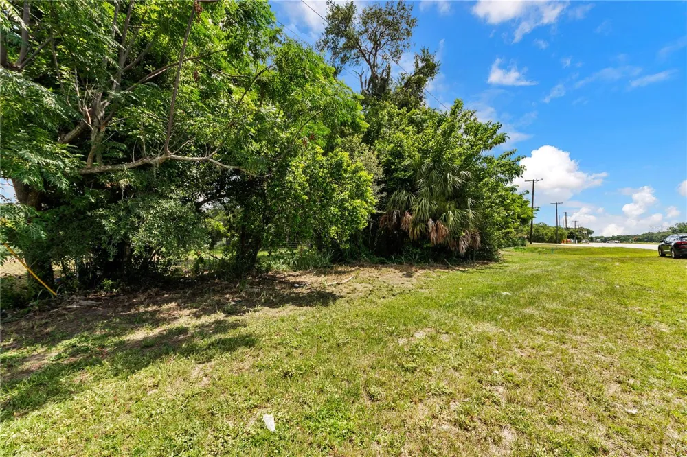9924 ROCKHILL ROAD Thonotosassa, FL 33592