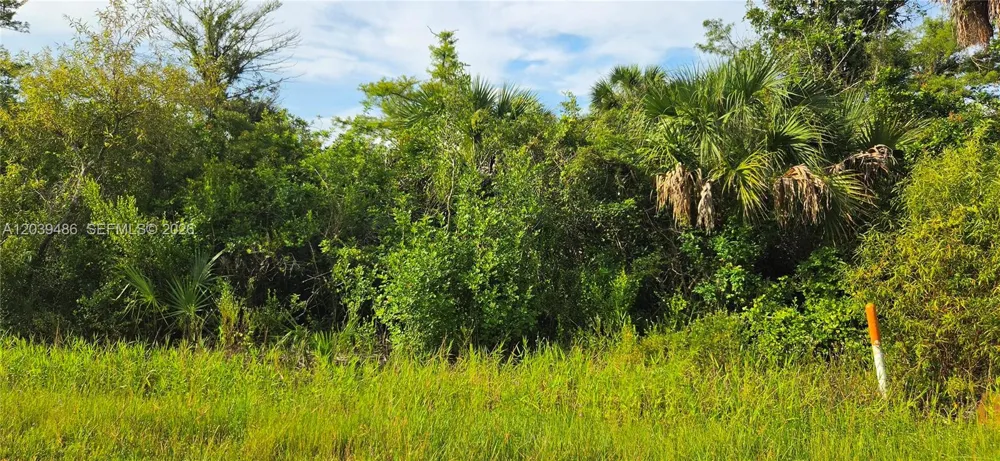 NE 45TH ave Naples, FL 34120