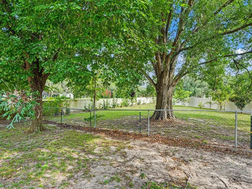 928 TIMBERGREEN DRIVE Lakeland, FL 33809