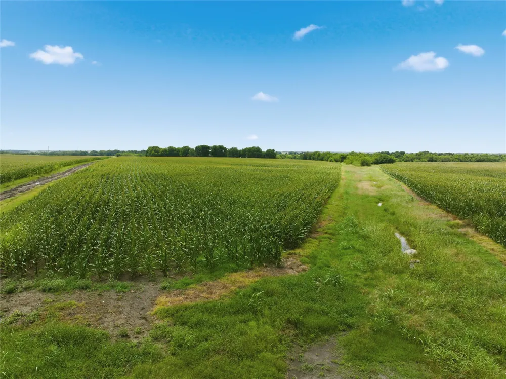 290 Hcr 3424 W Malone, TX 76660