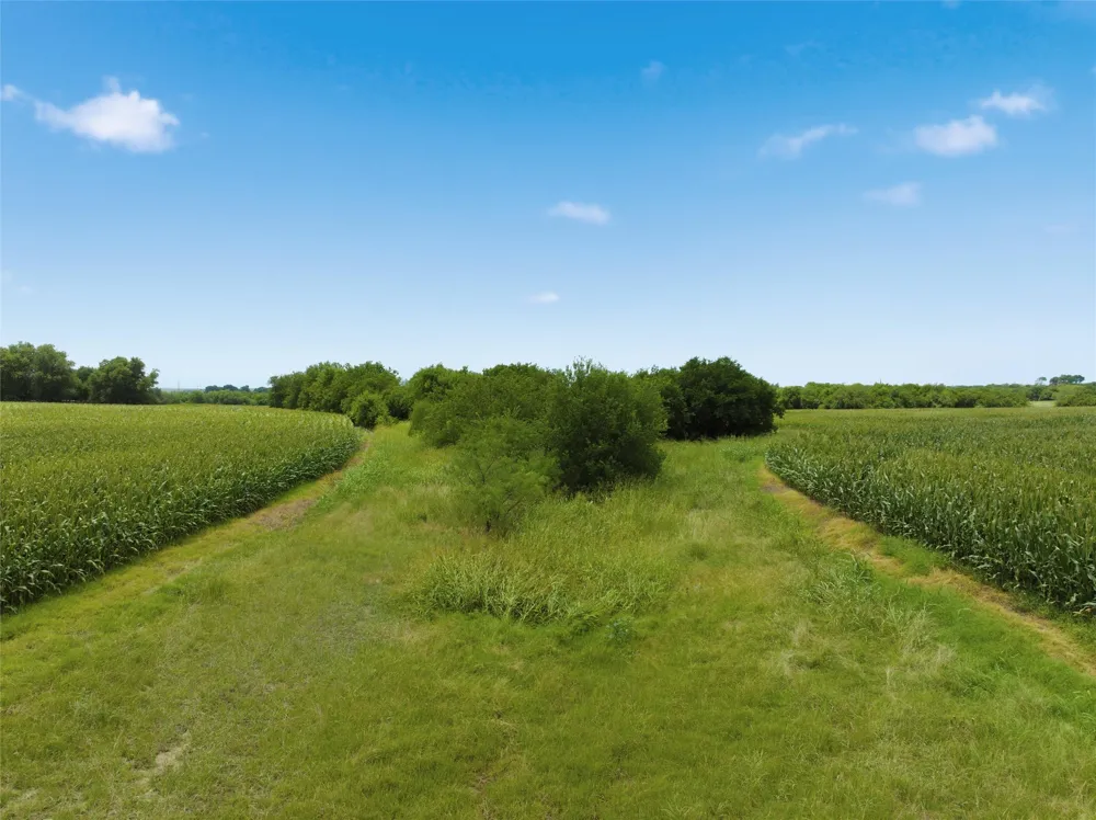 290 Hcr 3424 W Malone, TX 76660