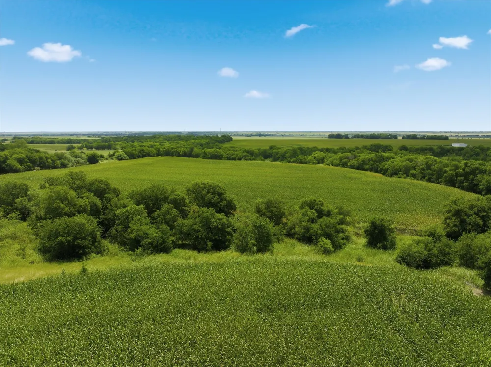 290 Hcr 3424 W Malone, TX 76660