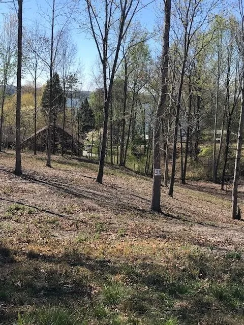 12 Piney View Drive