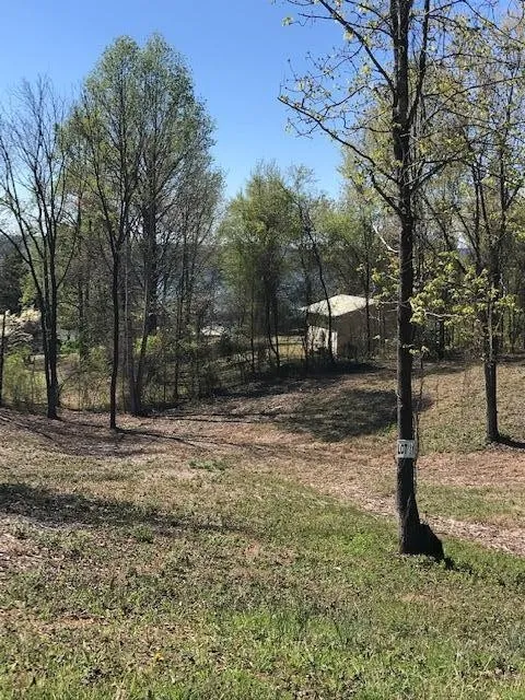 11 Piney View Drive