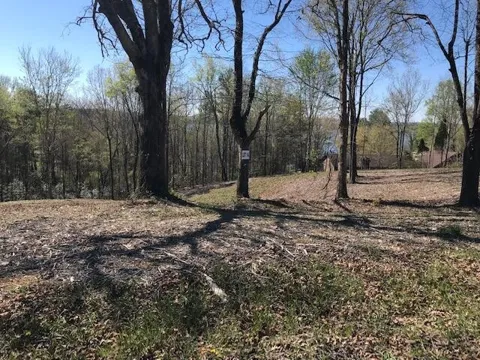 14 Piney View Drive