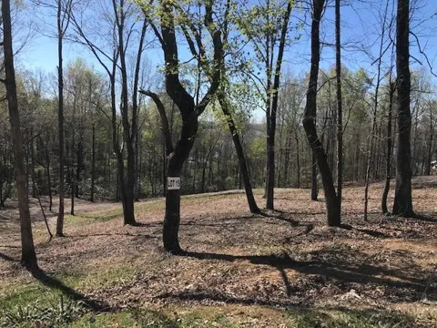 15 Piney View Drive