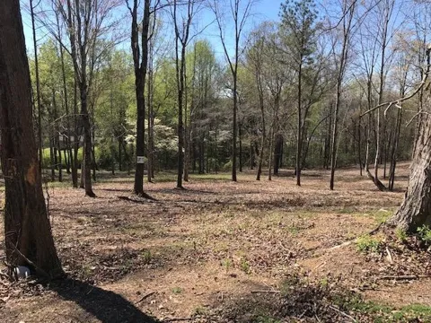17 Piney View Drive