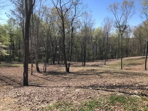 16 Piney View Drive