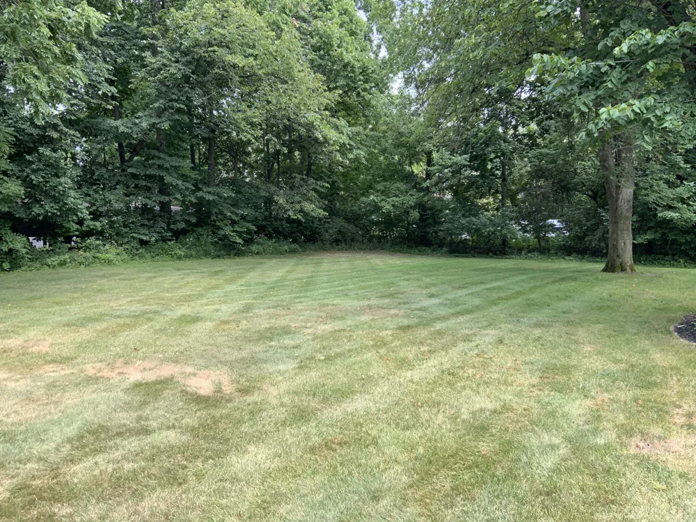 2424 E Collier Avenue SE Kentwood City, MI 49546