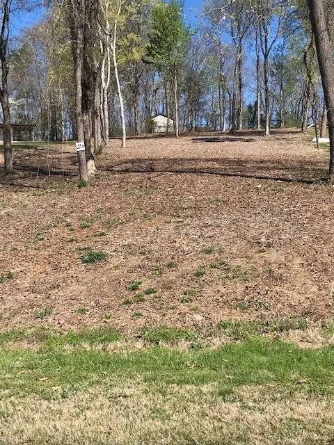 6 Piney View Drive