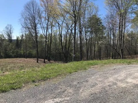 9 Piney View Drive
